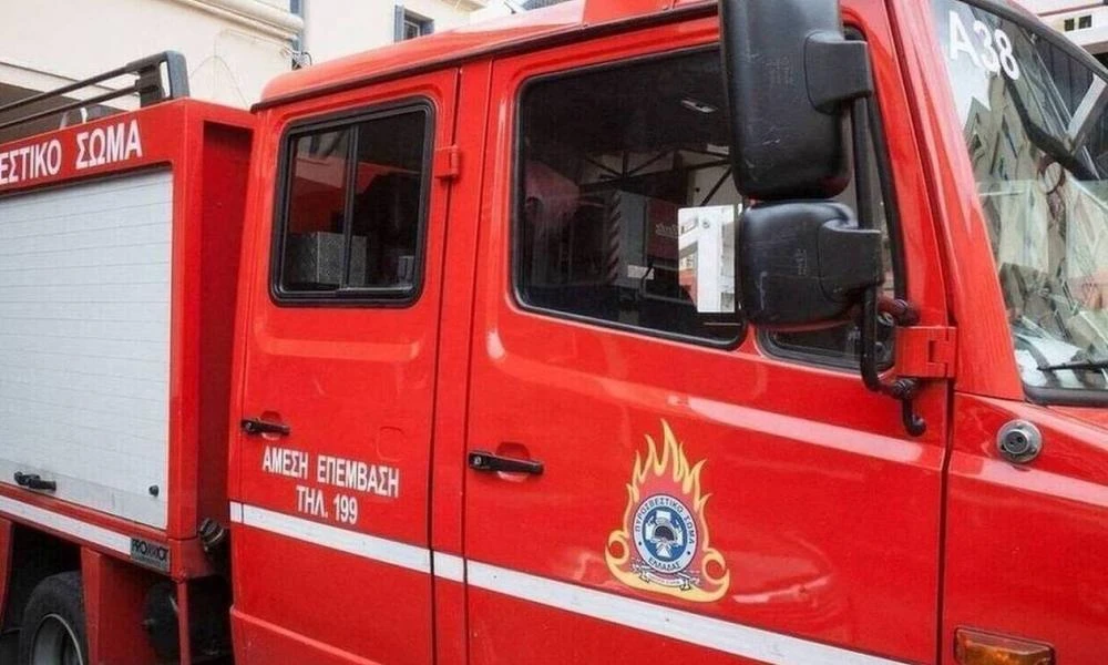 Φωτιά σε δασική έκταση στη Σαλαμίνα